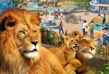 حديقة الحيوانات في دبي 